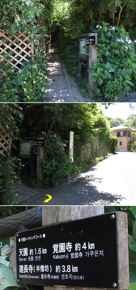 20150715hike (170)